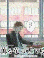 多设备布局差异配图
